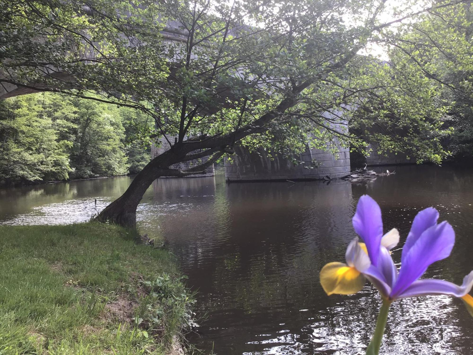 Chambre Sur Une Ile Saint-Bonnet-de-Rochefort Esterno foto