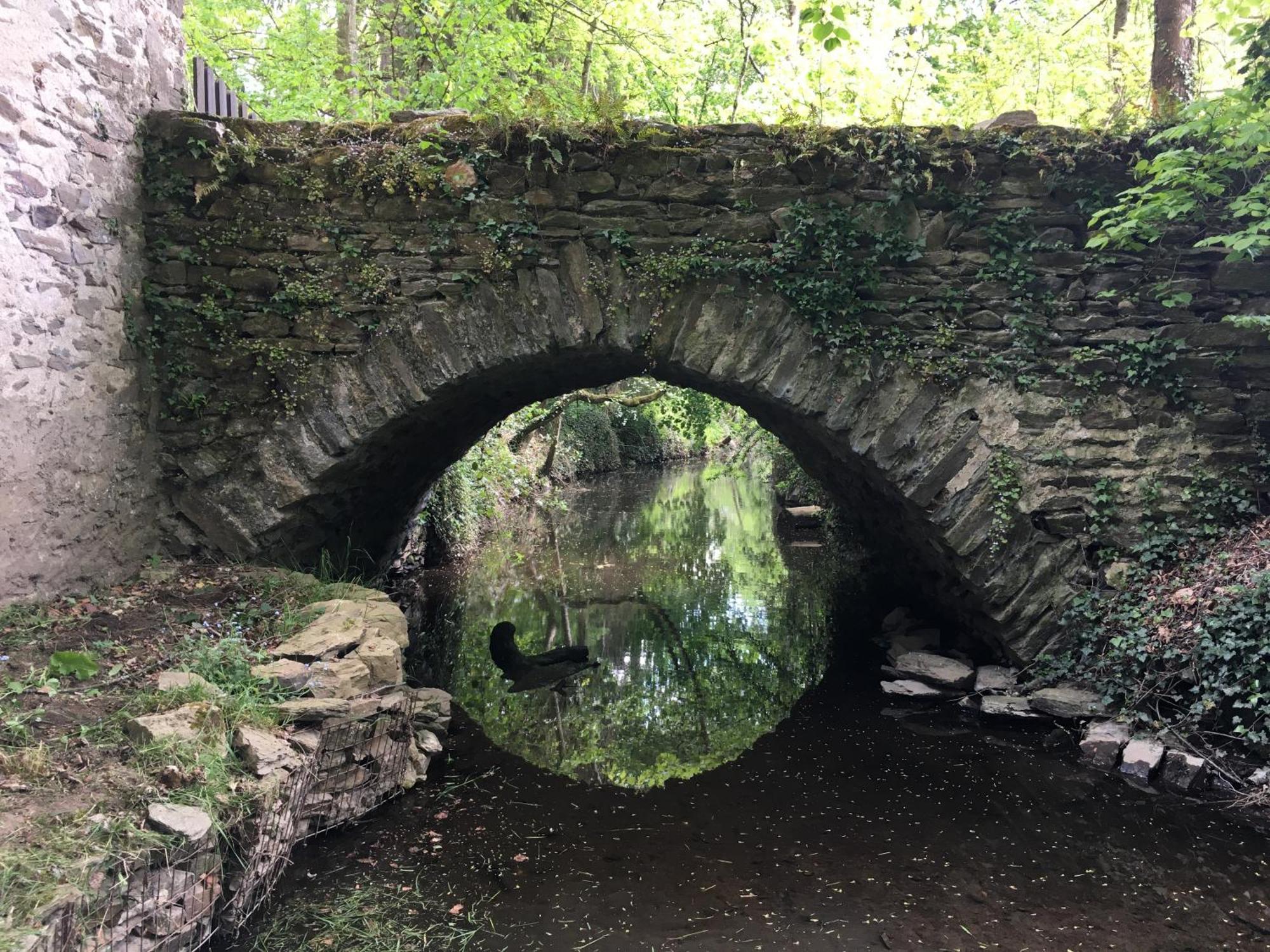 Chambre Sur Une Ile Saint-Bonnet-de-Rochefort Esterno foto